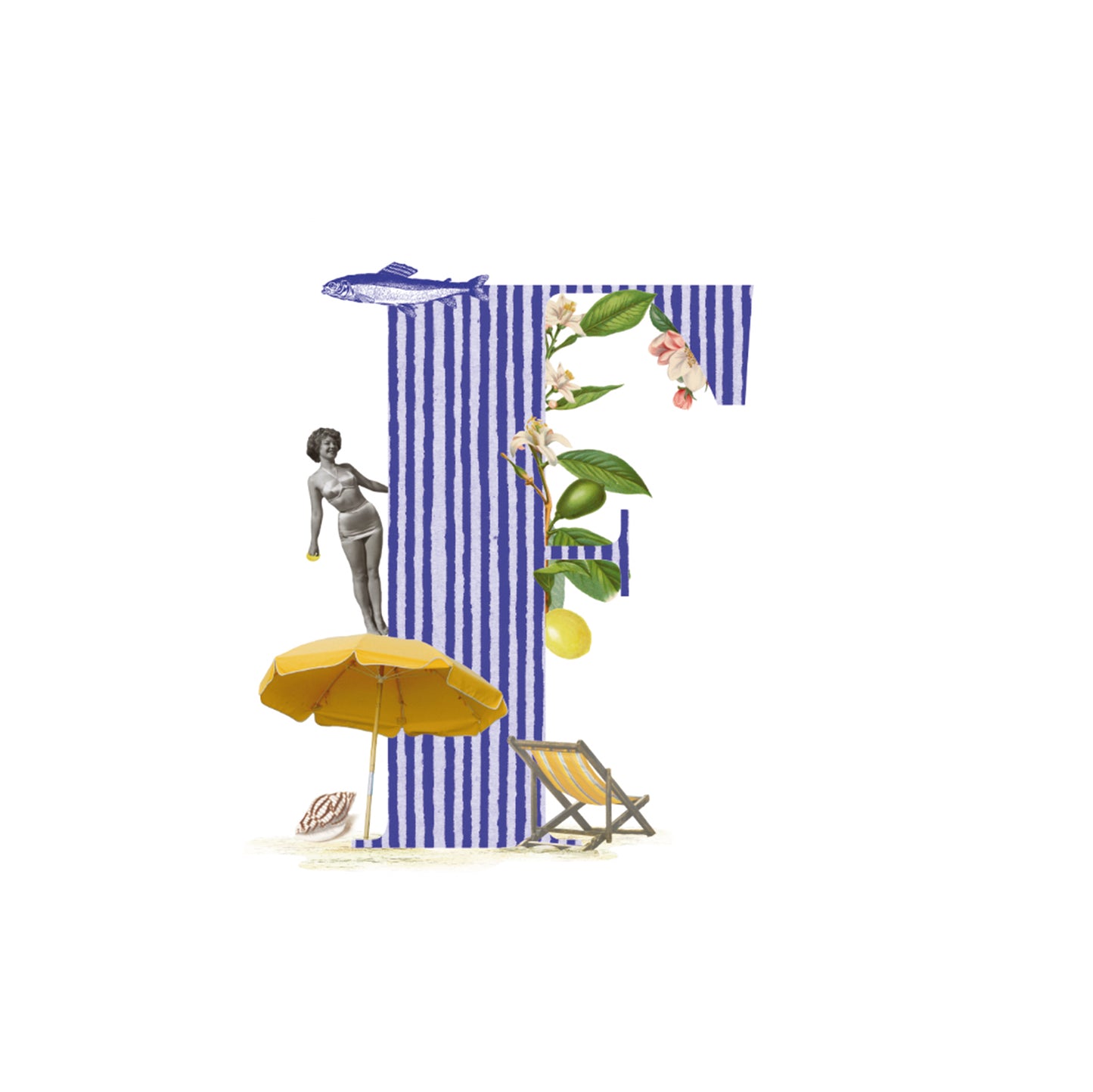 Inicial Mediterránea